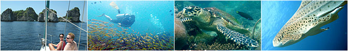 world class scuba diving around in thailand's south andaman sea